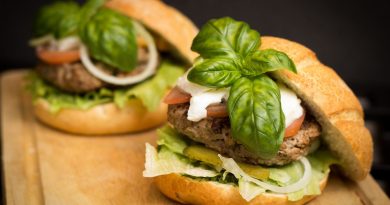 Quick Meals and Energy