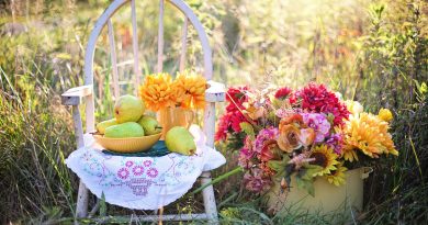 Suggestions On Methods to Dwell a Wholesome Way of life