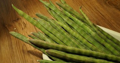 Well beiMoringa Seedng Advantages of